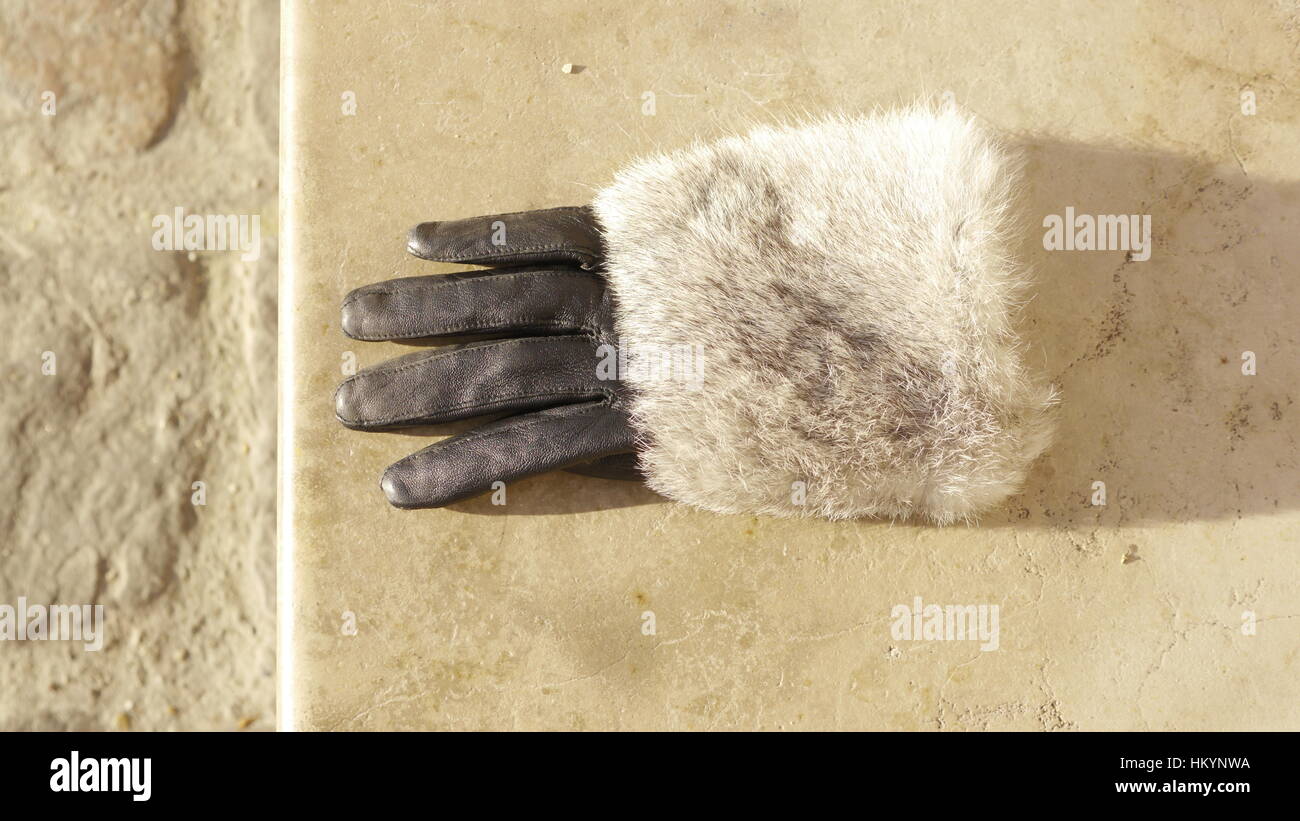 A fancy glamorous glove .A fur lined glove. Stock Photo