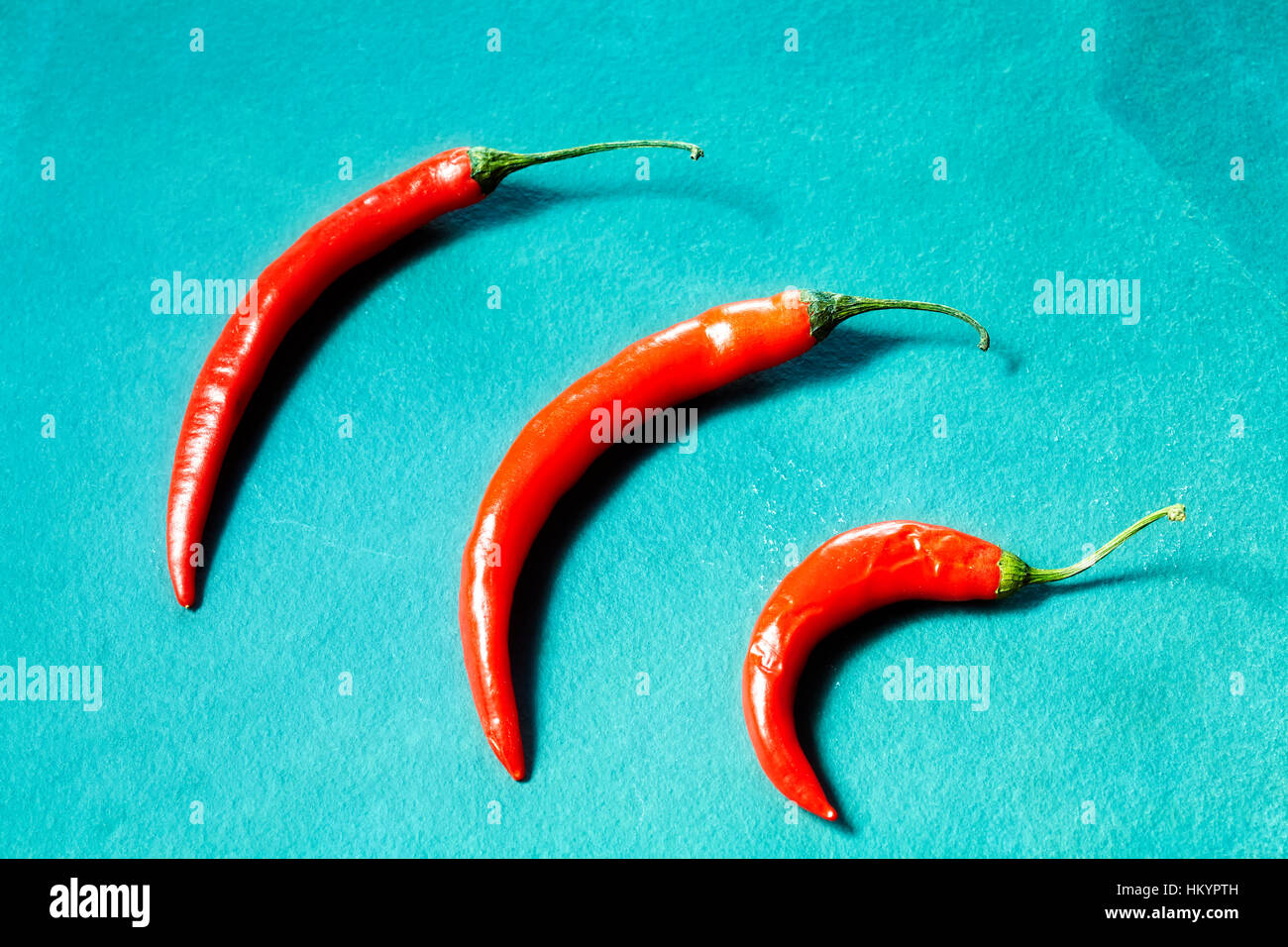 Red chili pepper on a blue slate background. Stock Photo