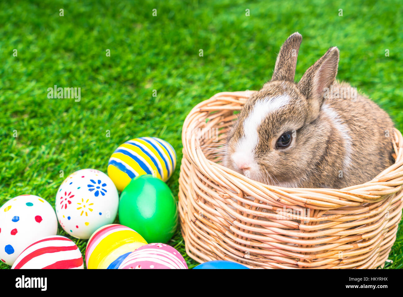 Rabbit and easter eggs in green grass Stock Photo - Alamy