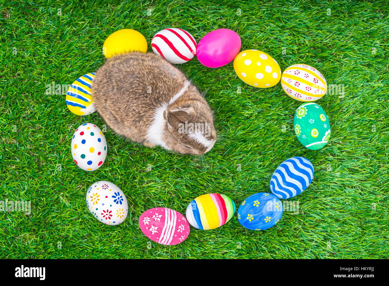 Rabbit and easter eggs in green grass Stock Photo - Alamy