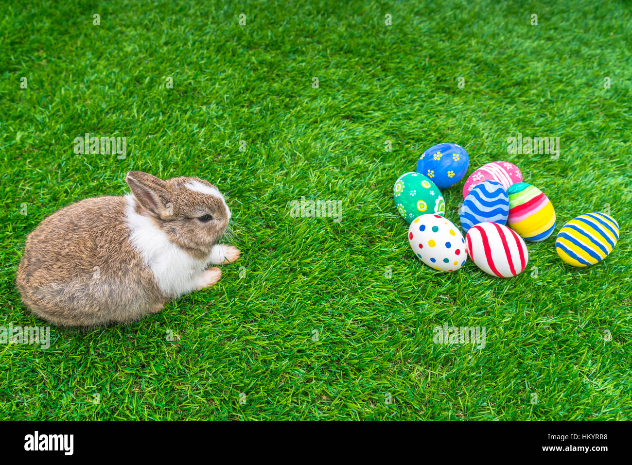 Rabbit and easter eggs in green grass Stock Photo - Alamy