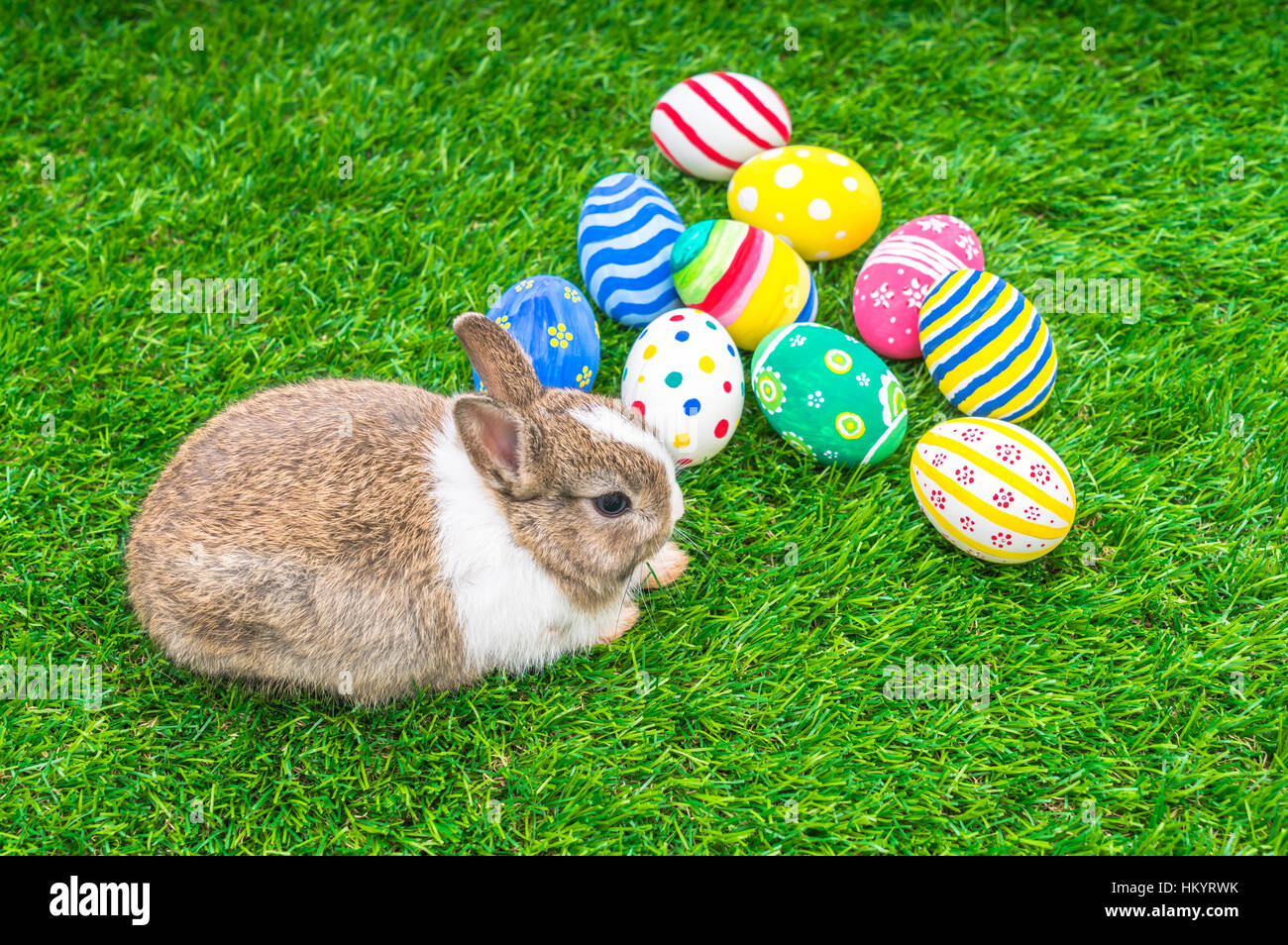 Rabbit and easter eggs in green grass Stock Photo - Alamy