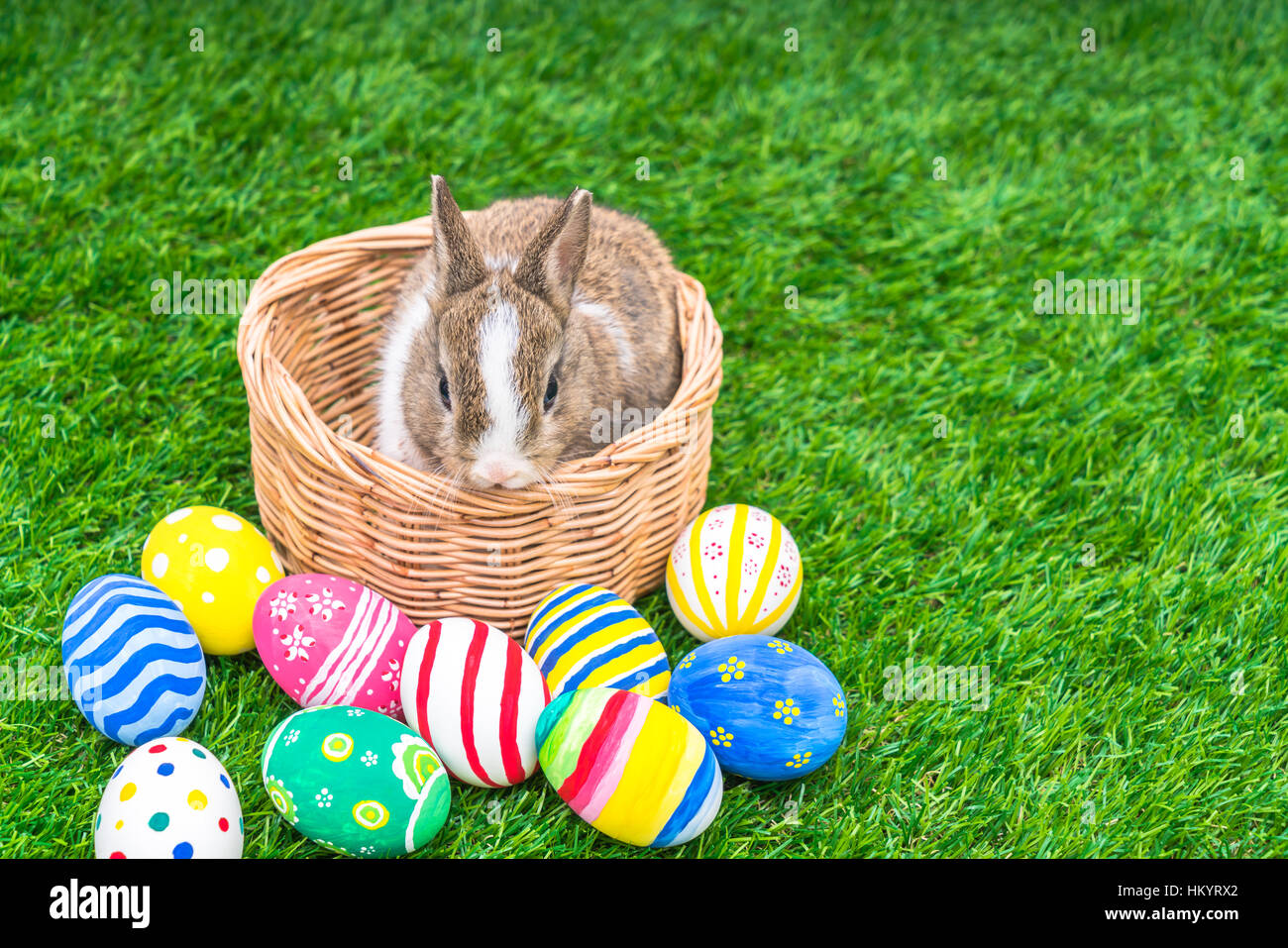 Rabbit and easter eggs in green grass Stock Photo - Alamy
