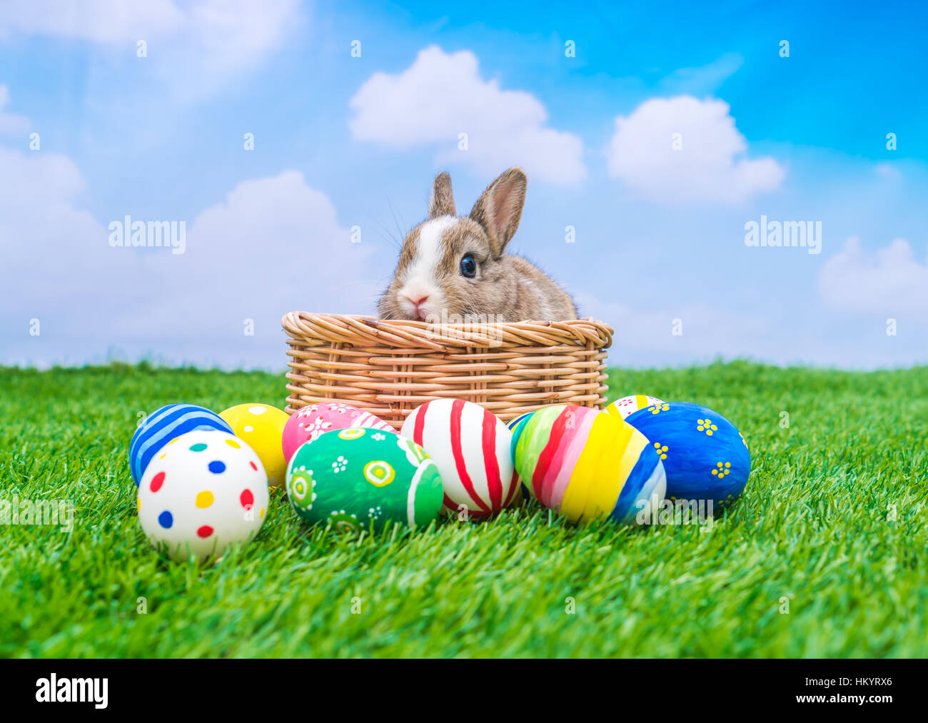 Rabbit and easter eggs in green grass with blue sky Stock Photo - Alamy