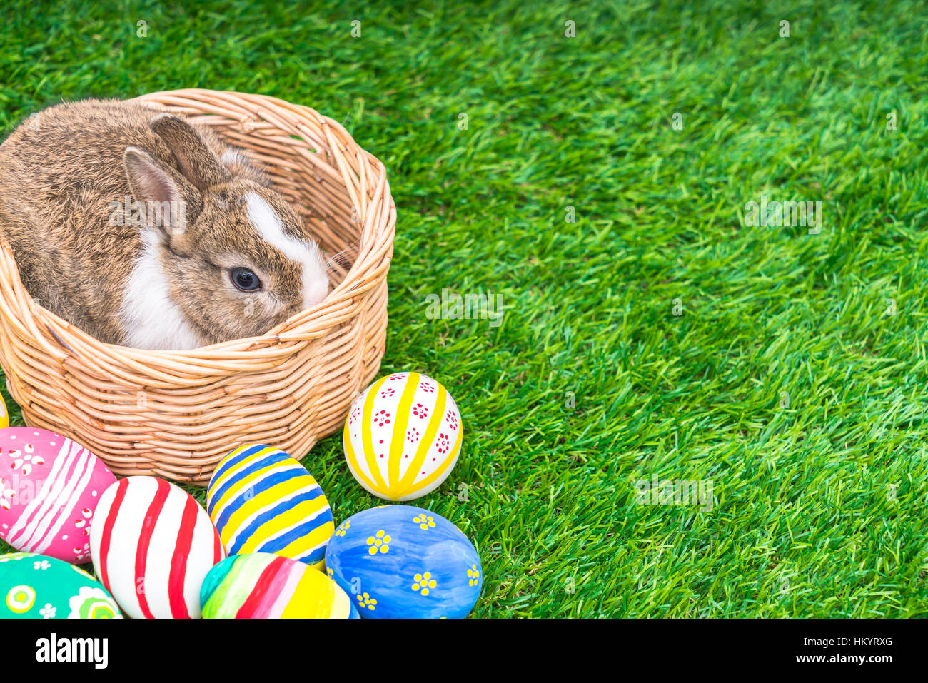 Rabbit and easter eggs in green grass Stock Photo - Alamy