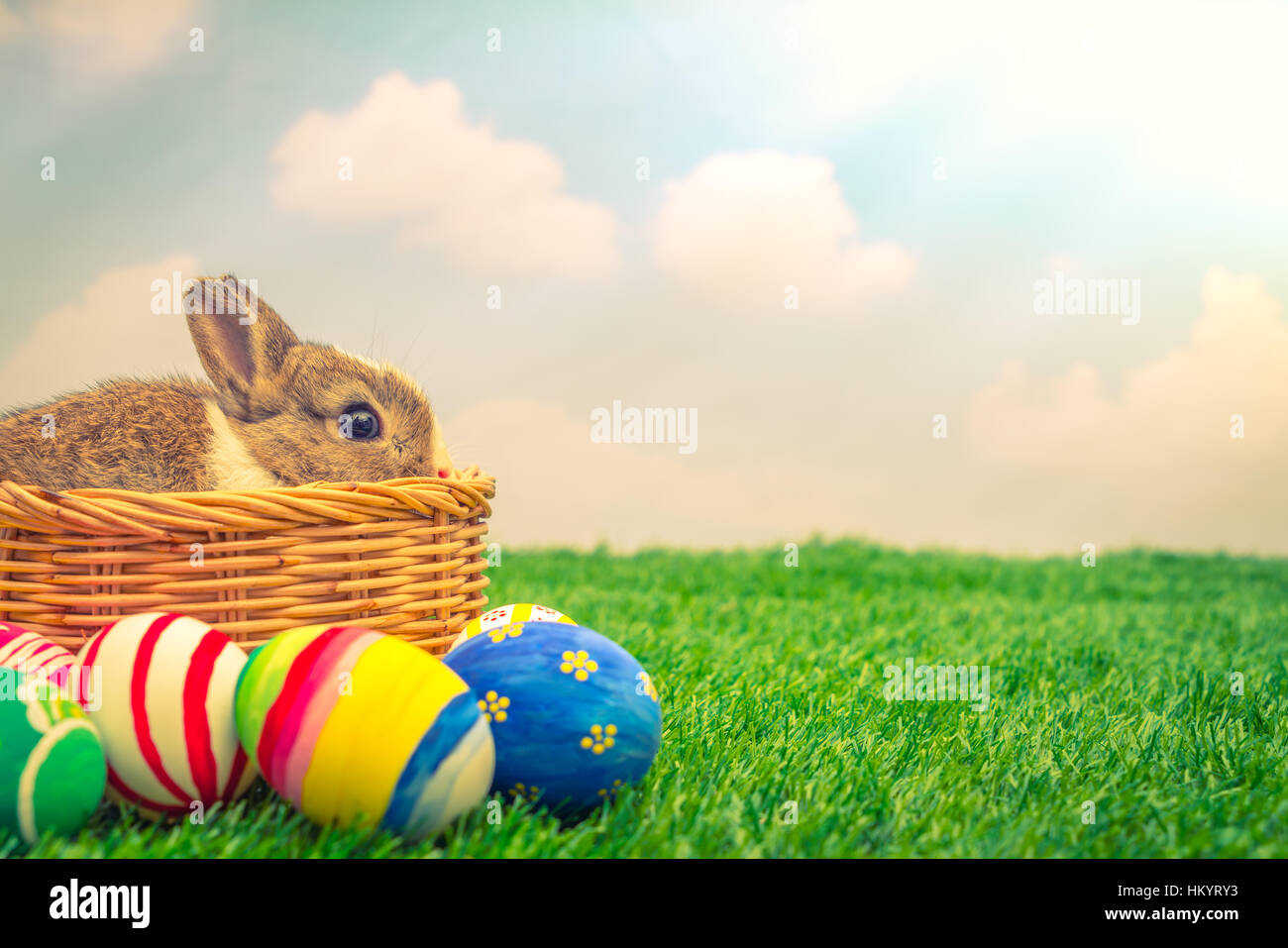 Rabbit and easter eggs in green grass with blue sky ( Filtered image ...