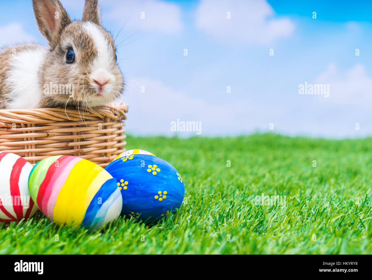 Rabbit and easter eggs in green grass with blue sky Stock Photo - Alamy