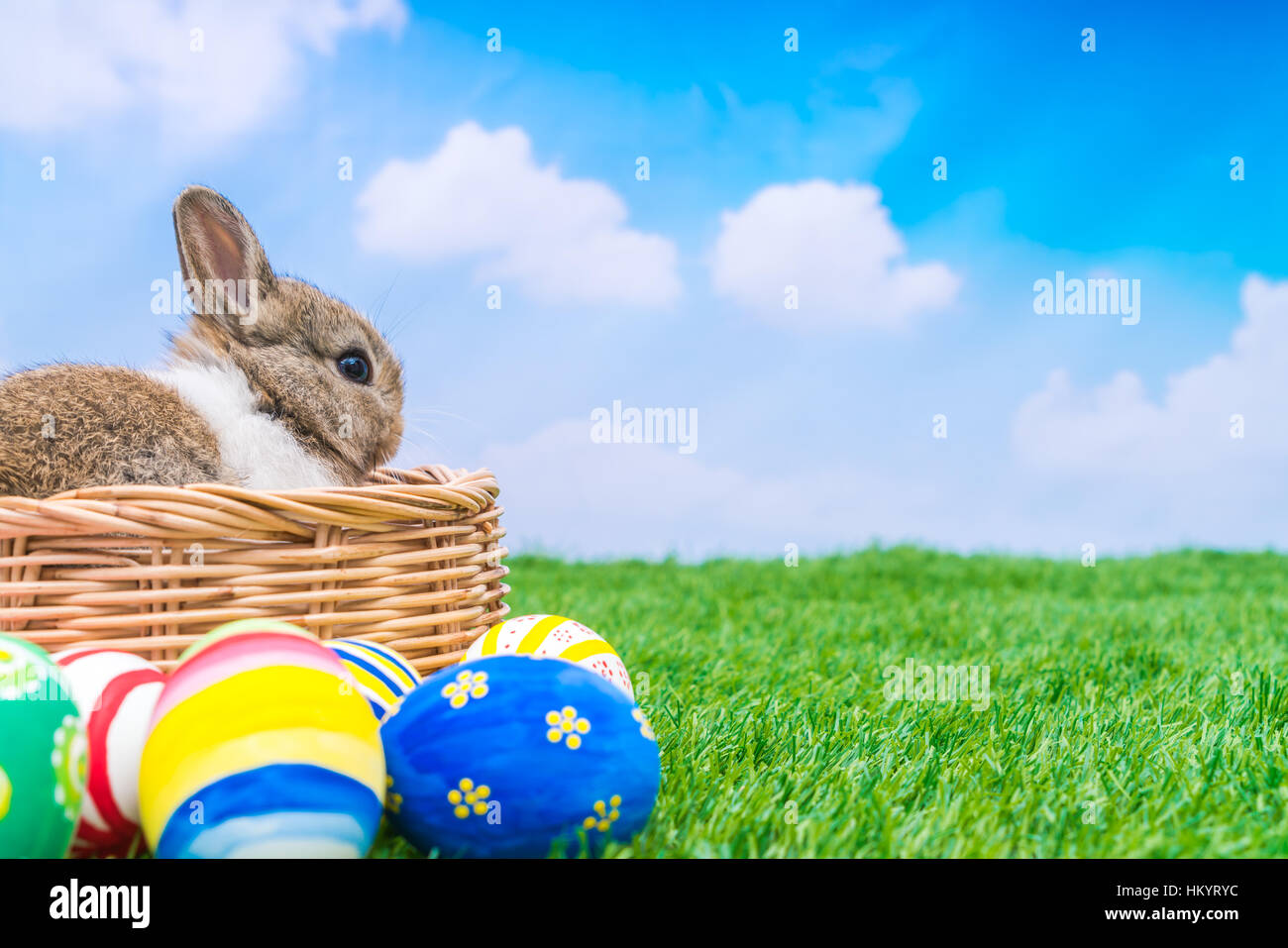 Rabbit and easter eggs in green grass with blue sky Stock Photo - Alamy