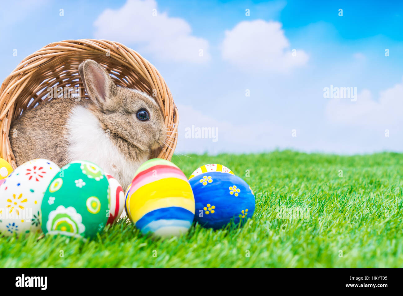 Rabbit and easter eggs in green grass with blue sky Stock Photo - Alamy