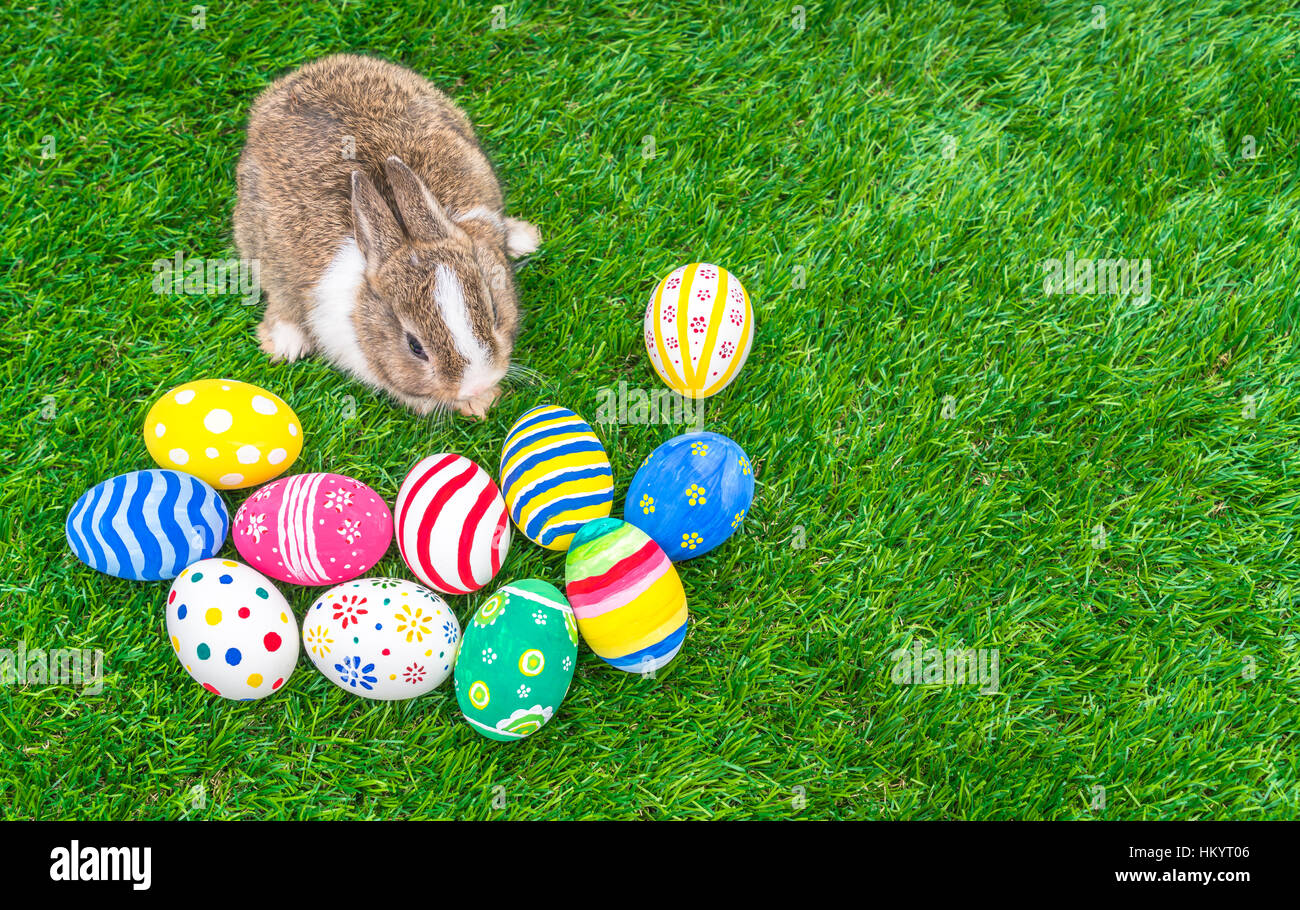 Rabbit and easter eggs in green grass Stock Photo - Alamy