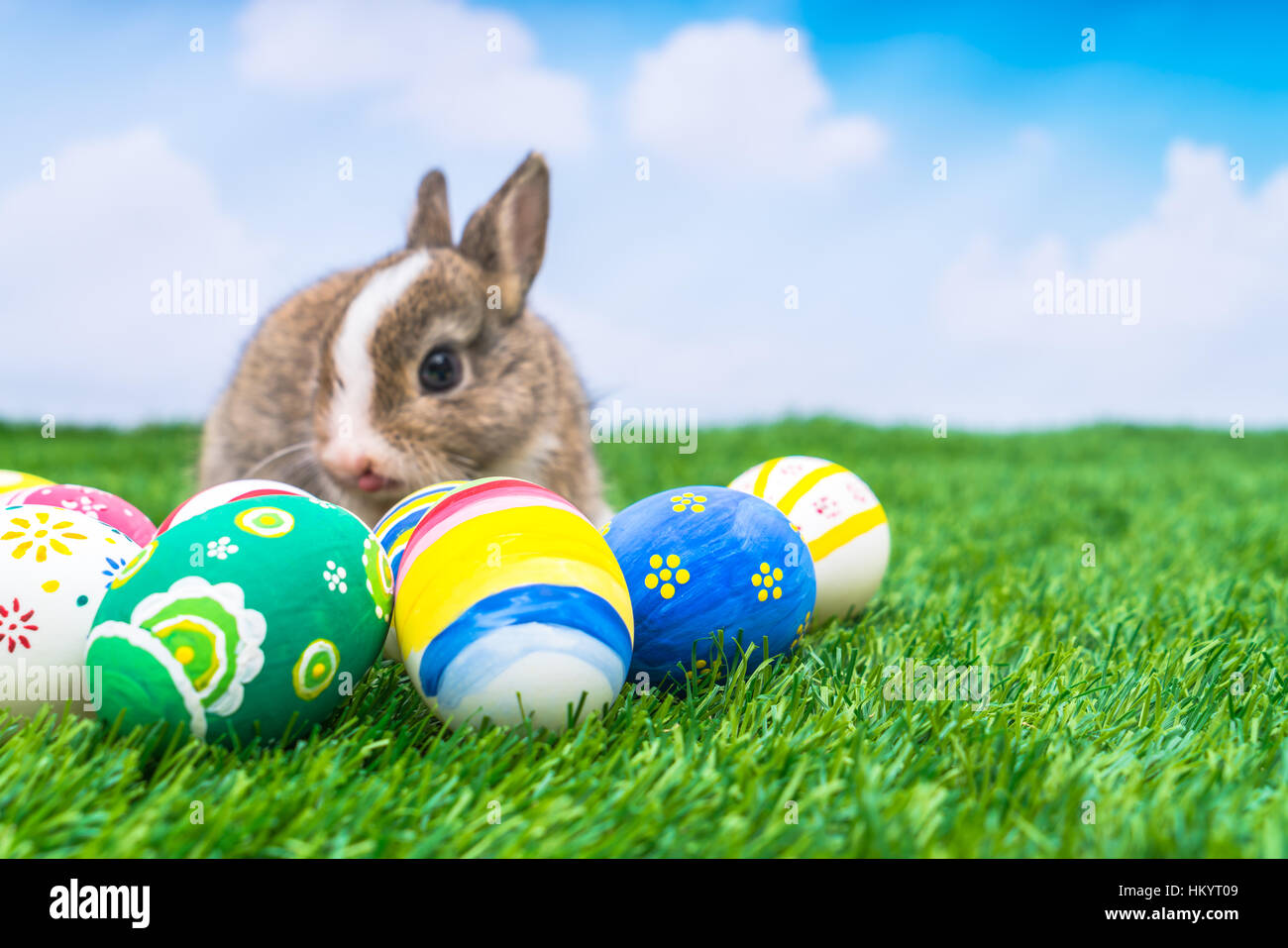 Rabbit and easter eggs in green grass with blue sky Stock Photo - Alamy