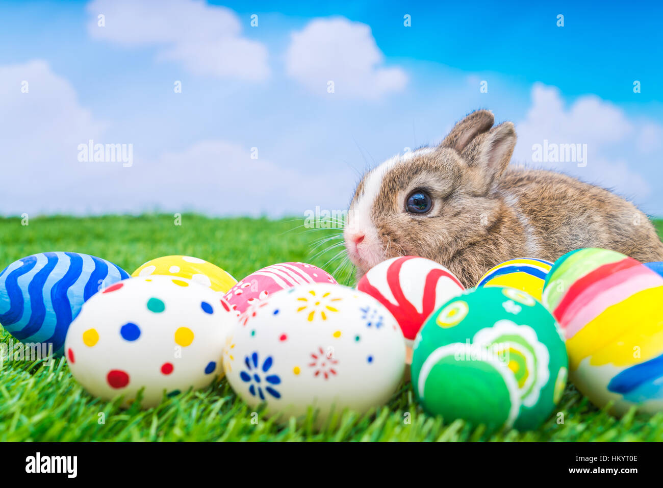 Rabbit and easter eggs in green grass with blue sky Stock Photo - Alamy