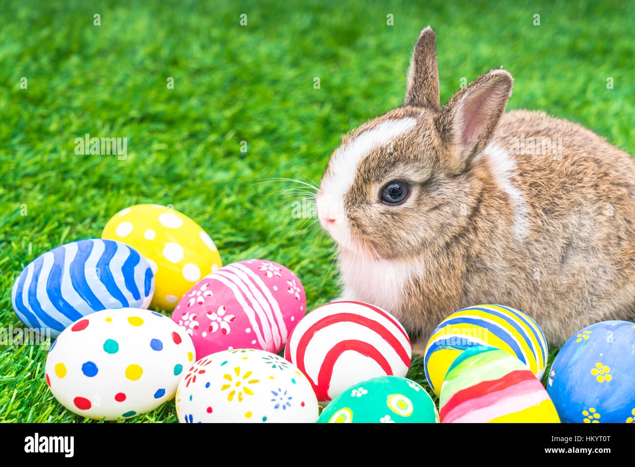 Rabbit and easter eggs in green grass Stock Photo - Alamy