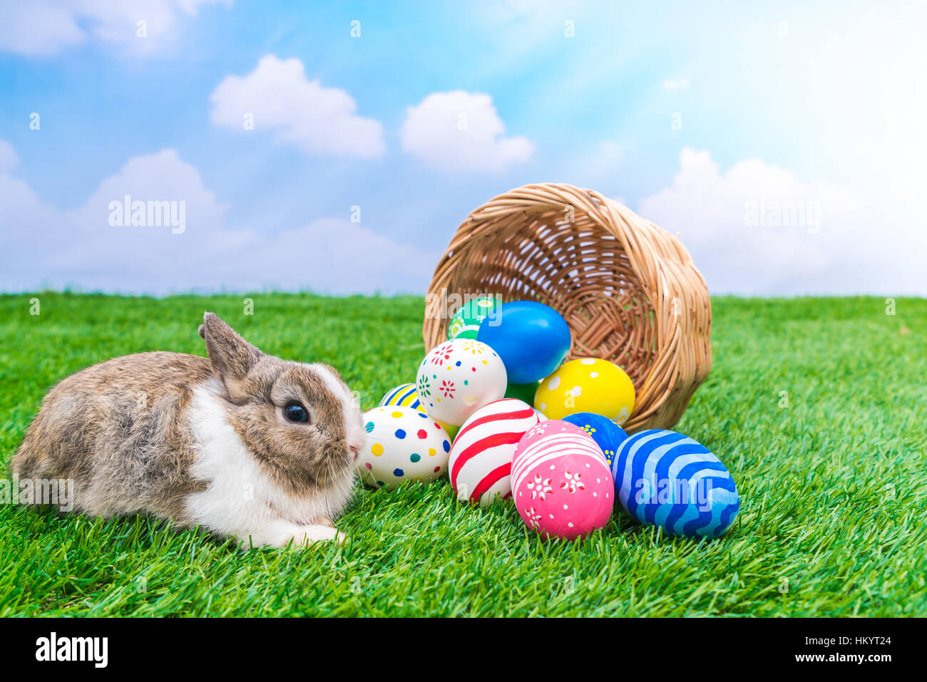 Rabbit and easter eggs in green grass with blue sky Stock Photo - Alamy