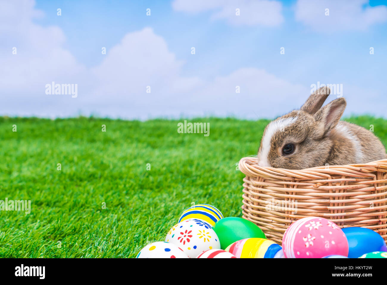 Rabbit and easter eggs in green grass with blue sky Stock Photo - Alamy