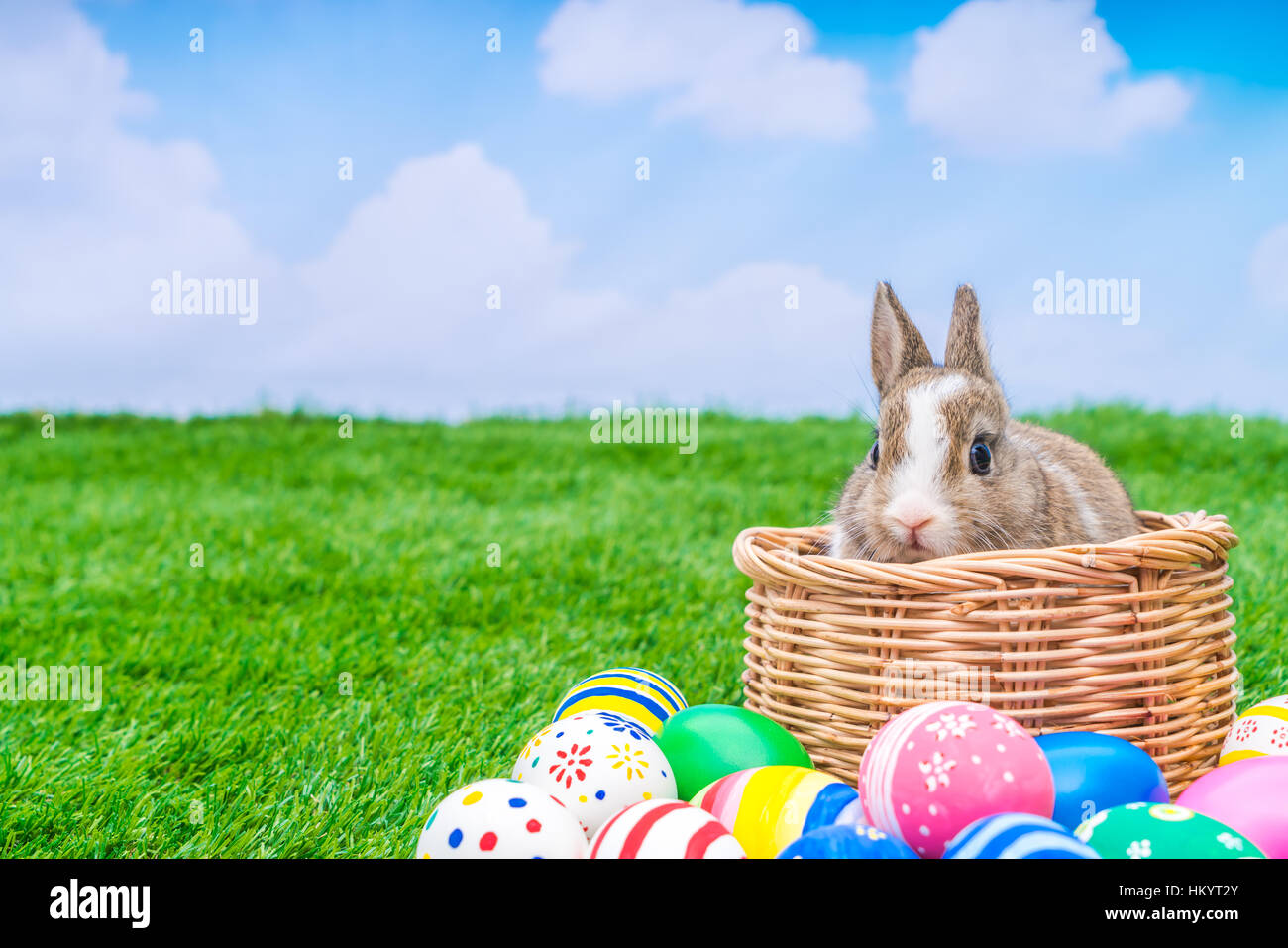 Rabbit and easter eggs in green grass with blue sky Stock Photo - Alamy