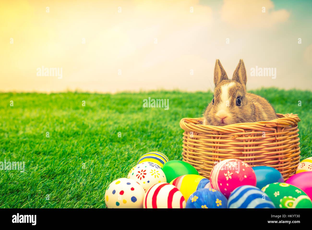 Rabbit and easter eggs in green grass with blue sky ( Filtered image ...