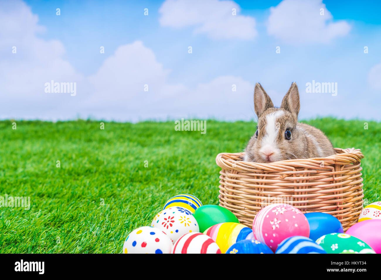 Rabbit and easter eggs in green grass with blue sky Stock Photo - Alamy