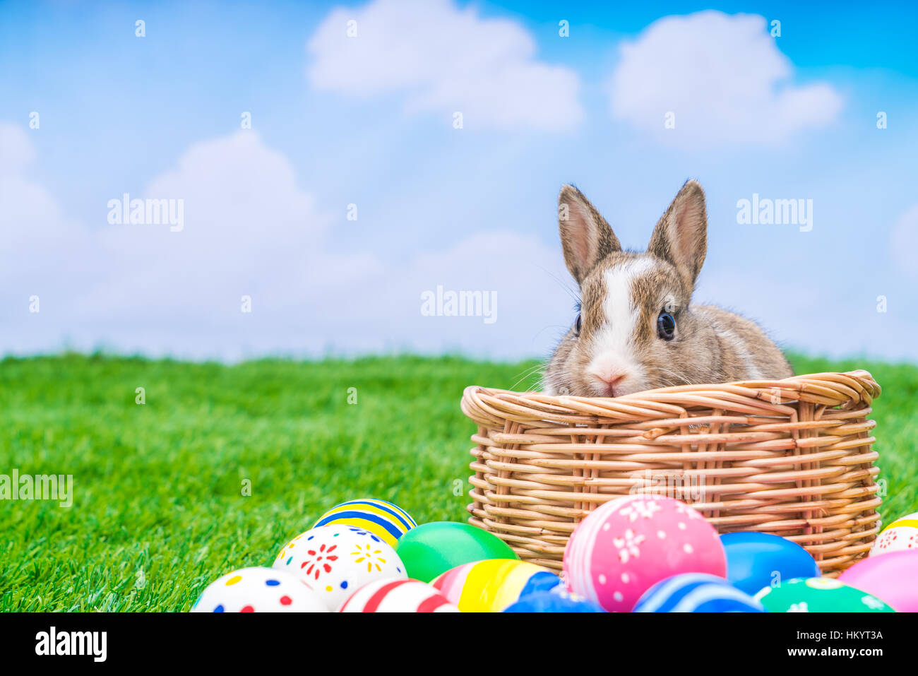 Rabbit and easter eggs in green grass with blue sky Stock Photo - Alamy