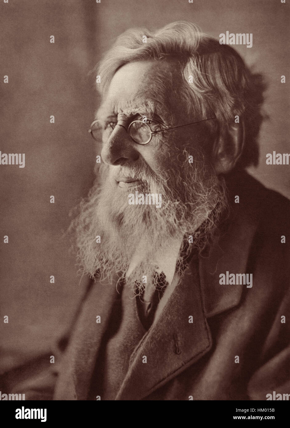 Alfred Russel Wallace, co-developer of the theory of evolution by natural selection, in a portrait by Emil Otto Hoppé, c1910 (published 1912). Stock Photo