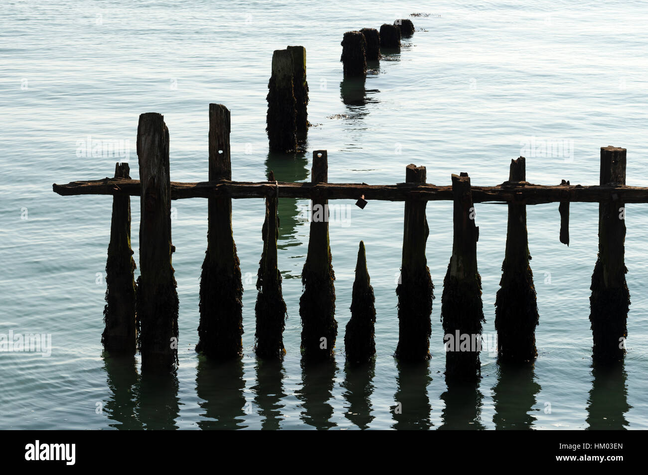 Wooden groynes Stock Photo Alamy