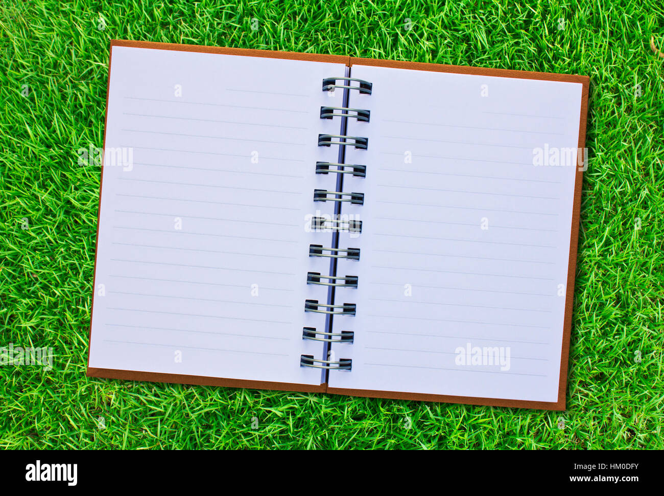 блокнот в клетку. Torn notebook sheet. вырванный листок из блокнота. пустой лист тетради с линером. вот она привычная клетка блокнота.