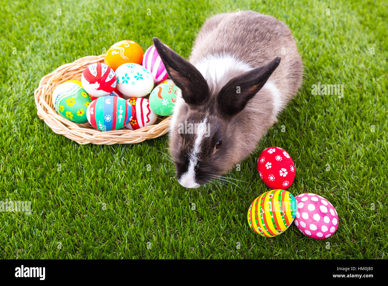 Rabbit and easter eggs in green grass Stock Photo - Alamy