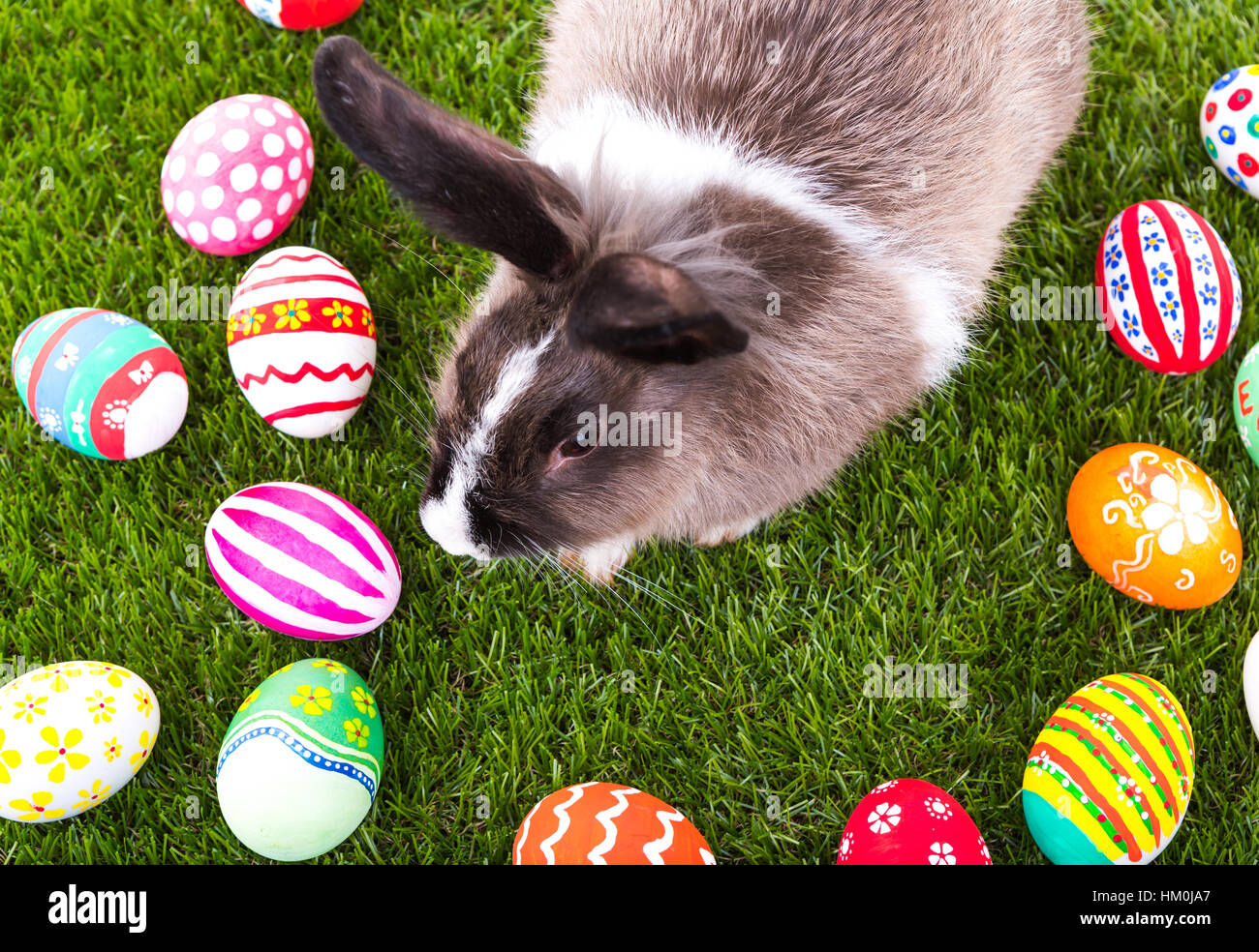 Rabbit and easter eggs in green grass Stock Photo - Alamy
