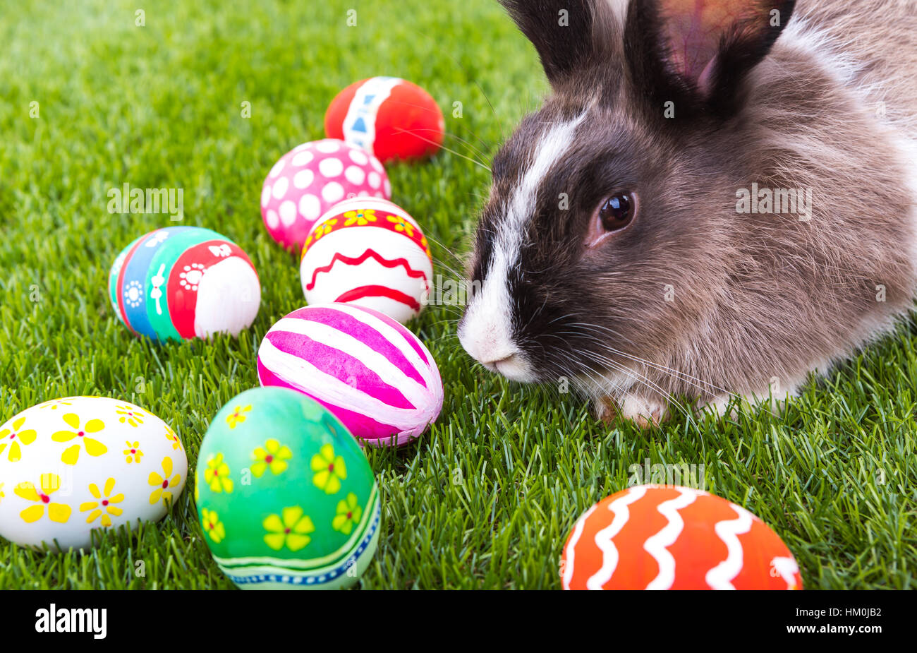 Rabbit and easter eggs in green grass Stock Photo - Alamy