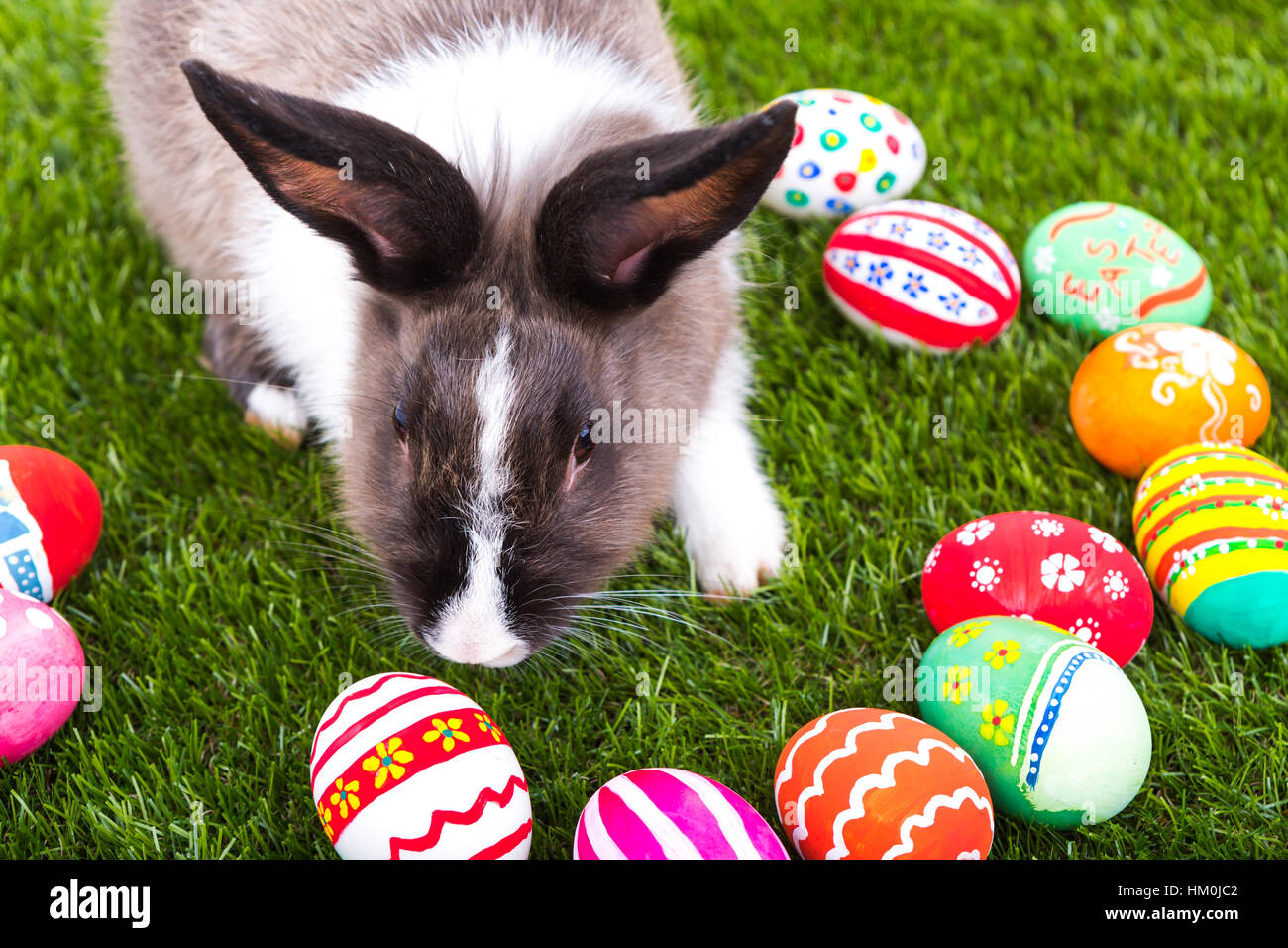 Rabbit and easter eggs in green grass Stock Photo - Alamy