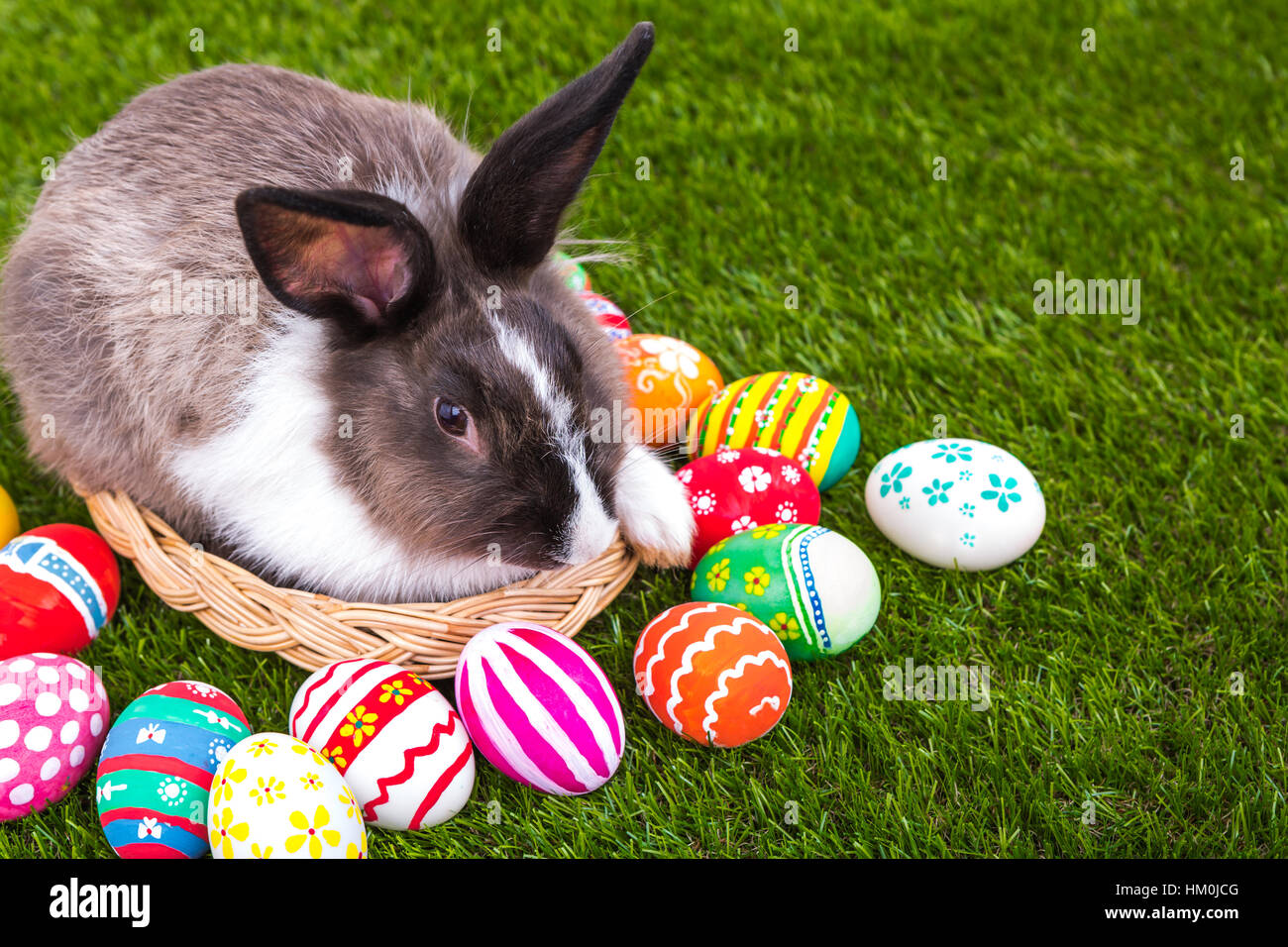 Rabbit and easter eggs in green grass Stock Photo - Alamy