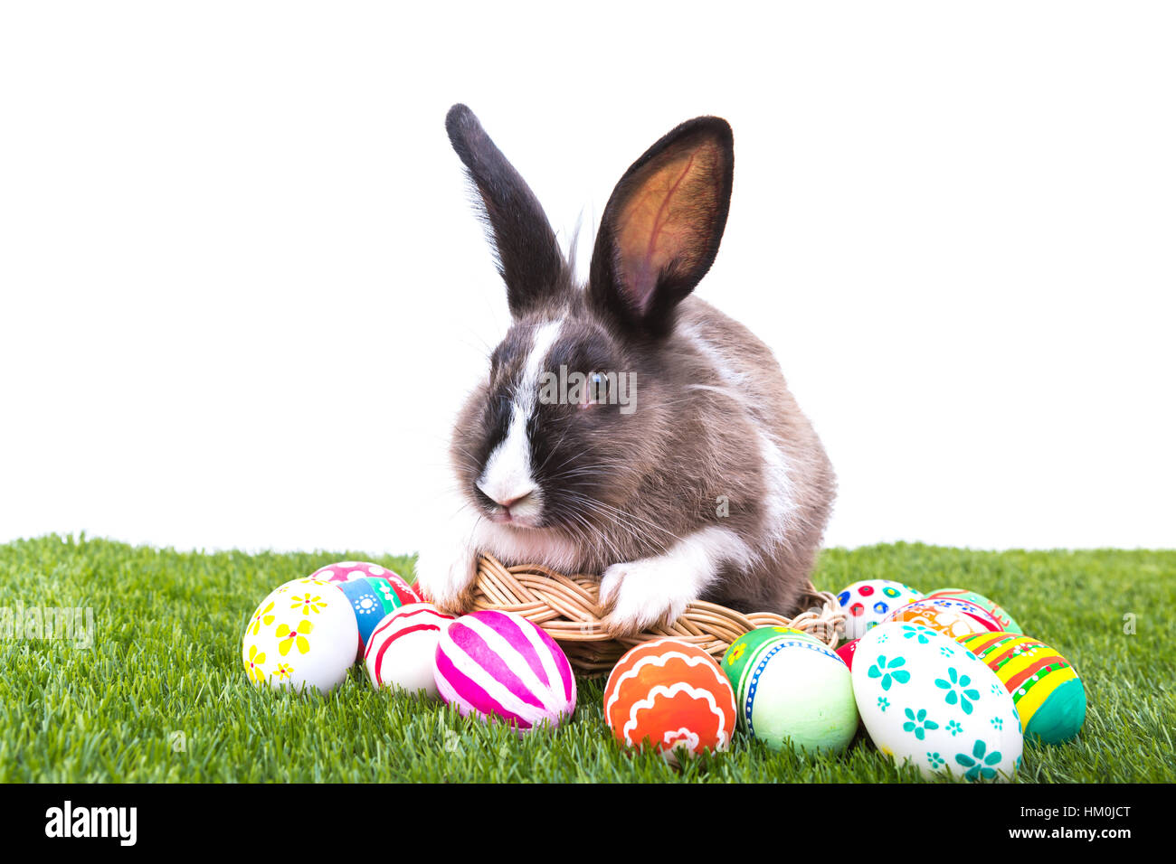 Rabbit and easter eggs in green grass Stock Photo - Alamy