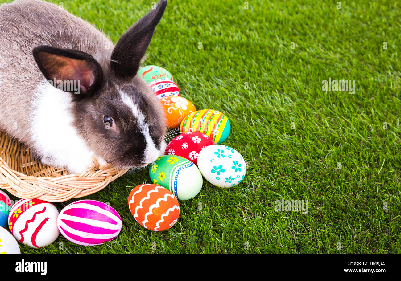 Rabbit and easter eggs in green grass Stock Photo - Alamy