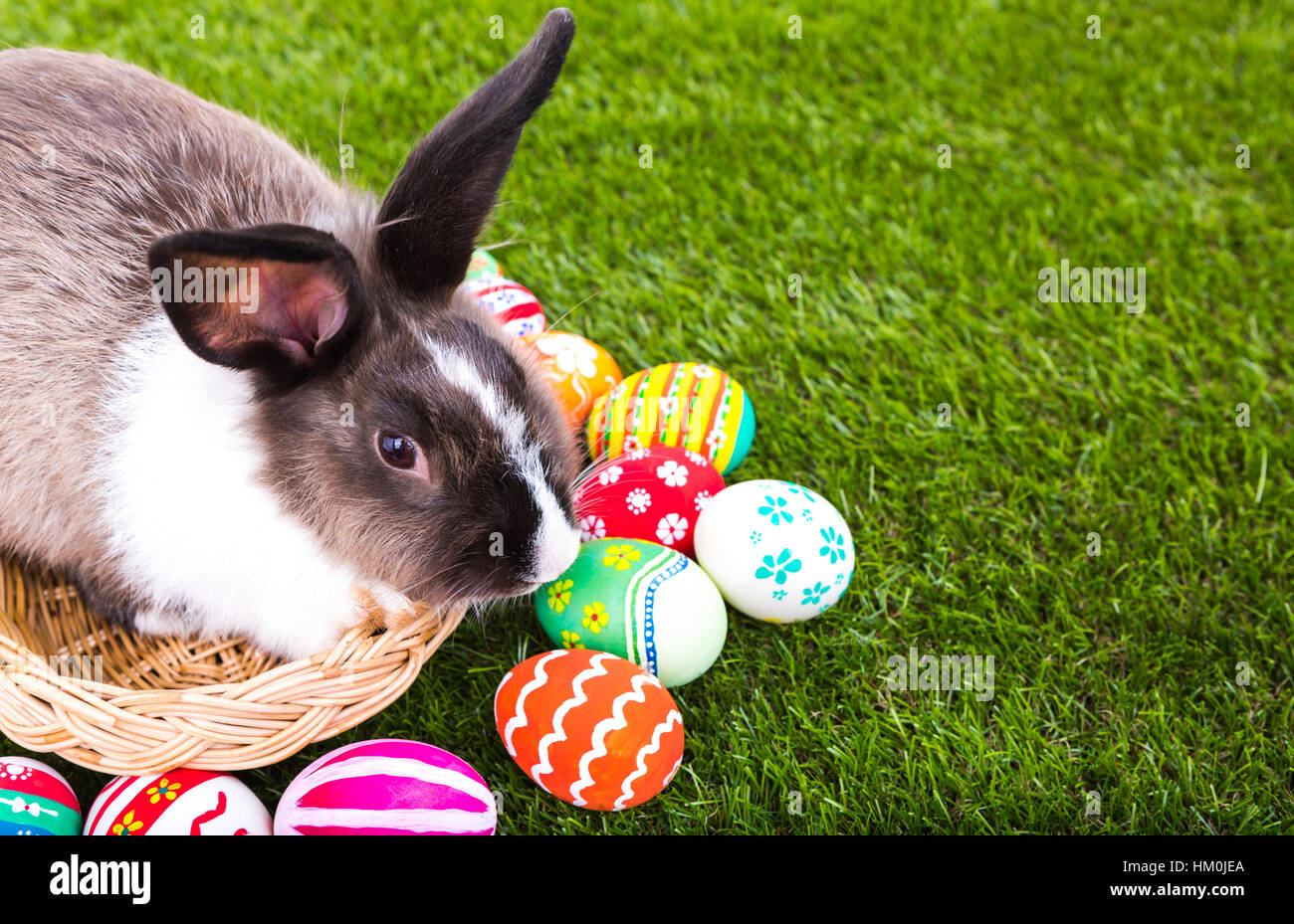 Rabbit and easter eggs in green grass Stock Photo - Alamy