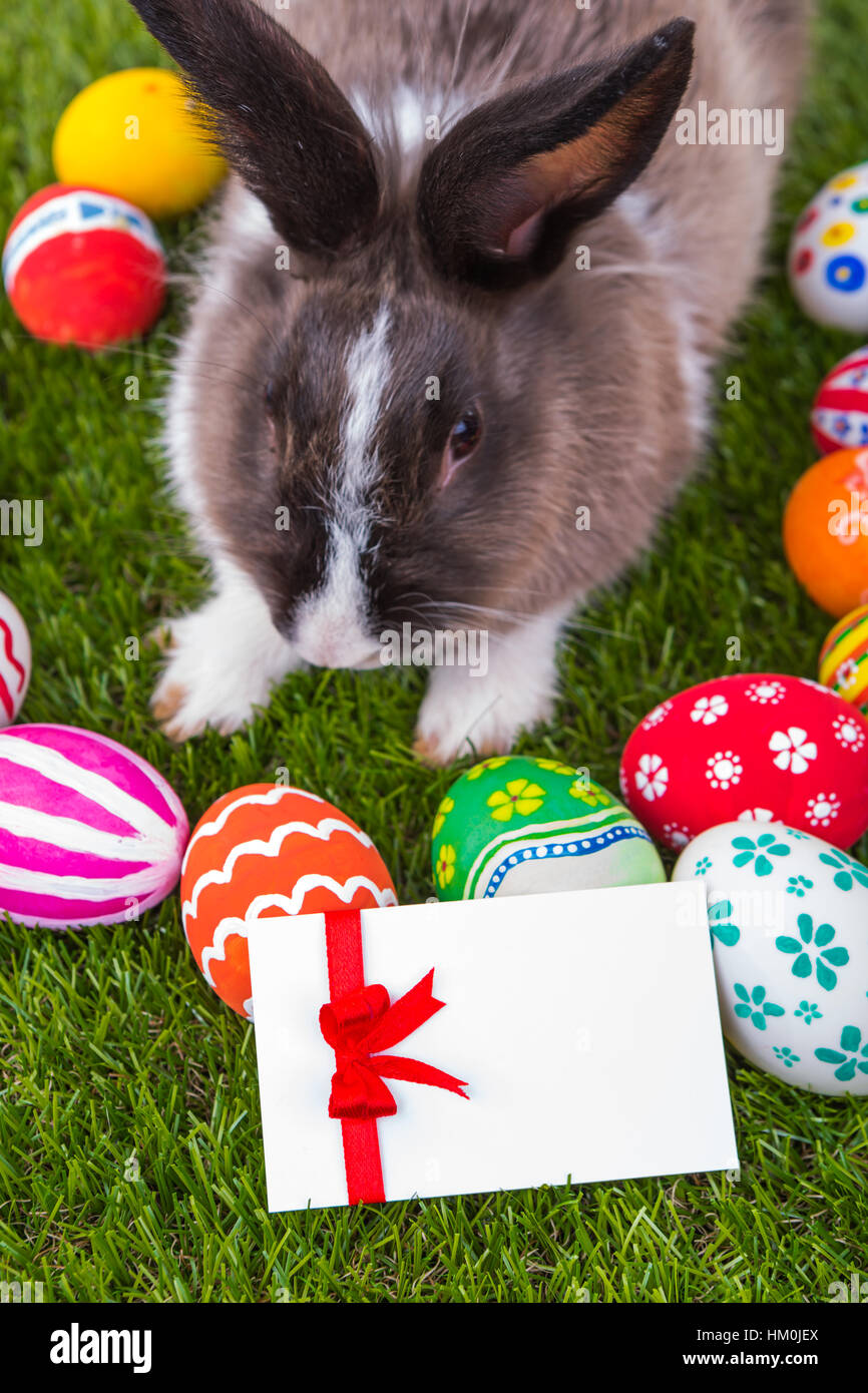 Rabbit and easter eggs in green grass Stock Photo - Alamy