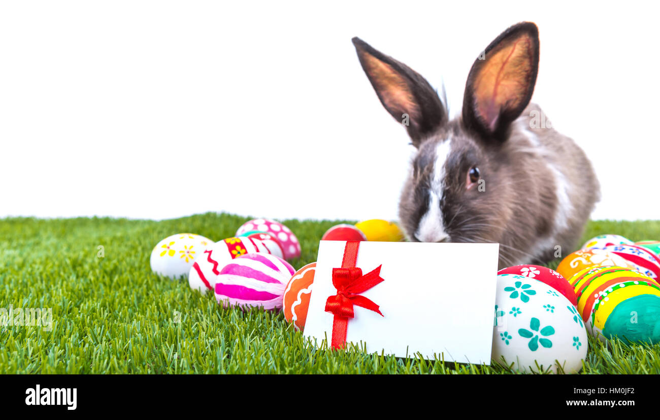 Rabbit and easter eggs in green grass Stock Photo - Alamy