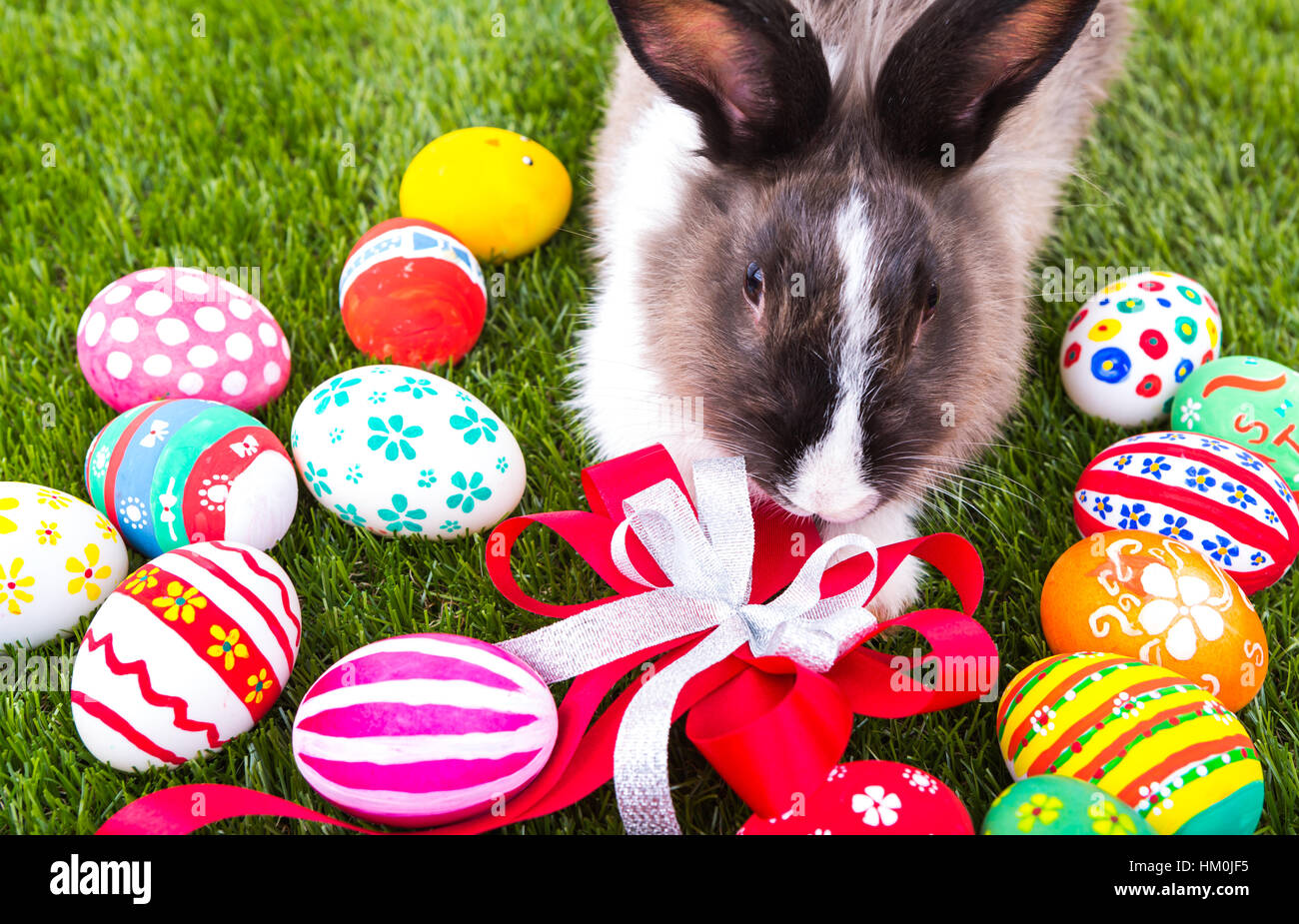 Rabbit and easter eggs in green grass Stock Photo - Alamy