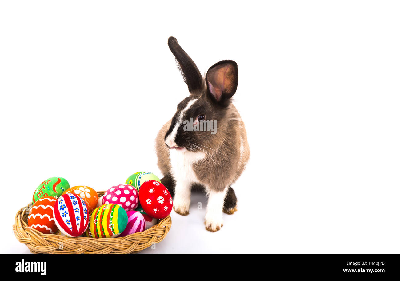Rabbit with Easter eggs isolated on white background Stock Photo - Alamy