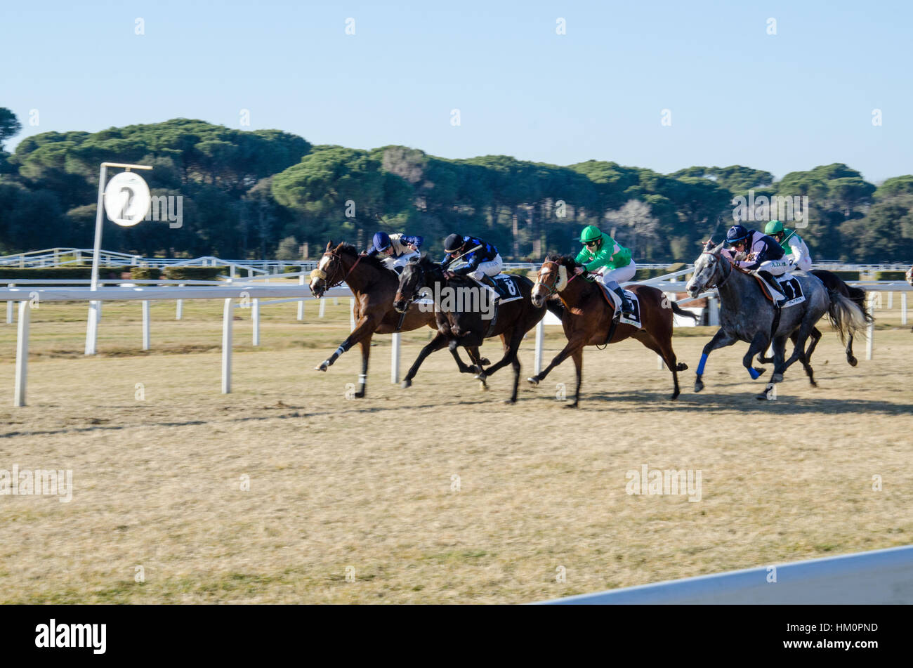 Horse race in Pisa, Italy Stock Photo