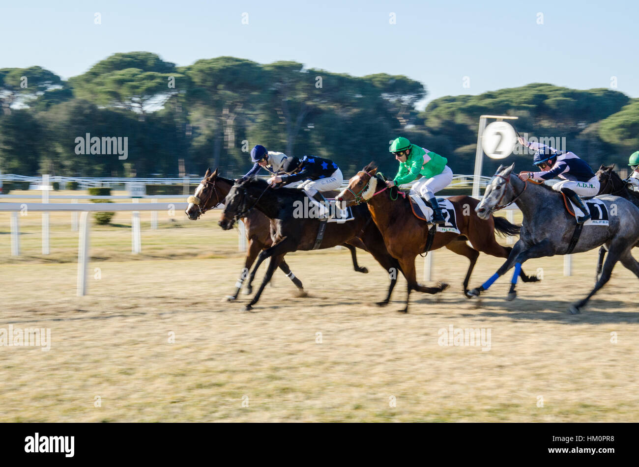 Horse race in Pisa, Italy Stock Photo