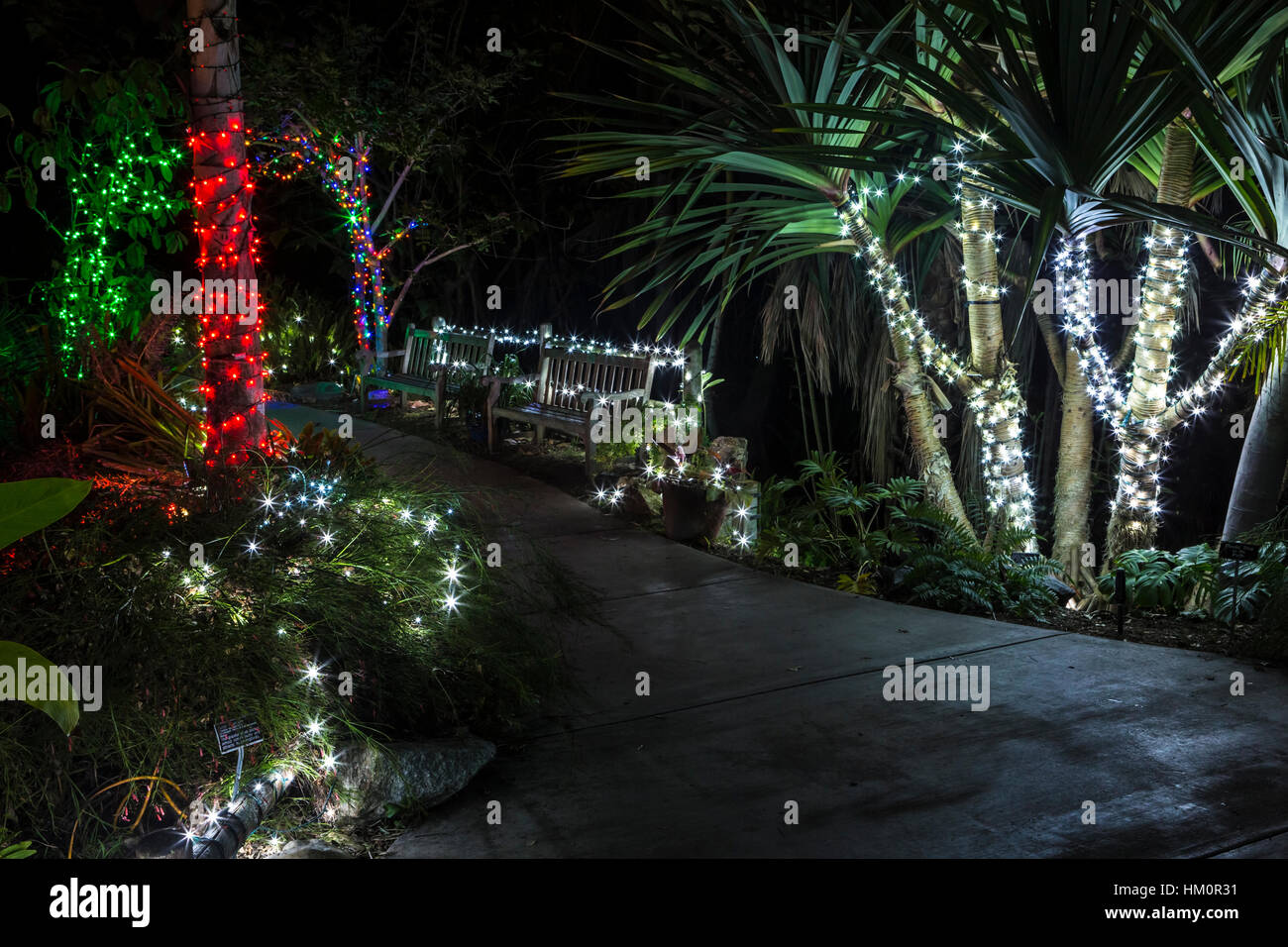 san diego botanic gardens xmas lights, california Stock Photo Alamy