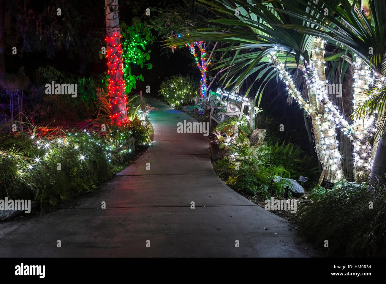 san diego botanic gardens xmas lights, california Stock Photo Alamy