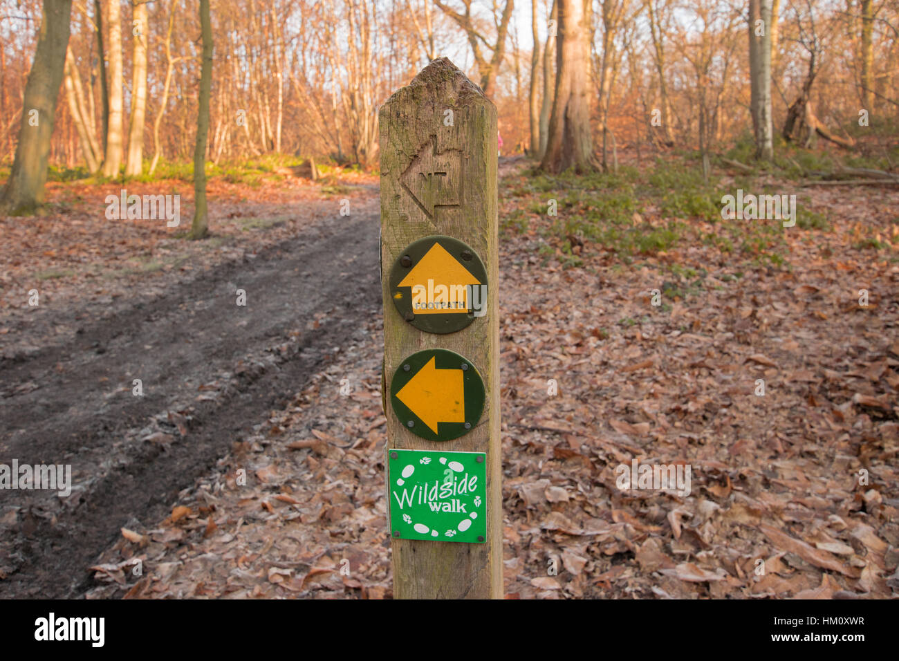 Sign on a footpath Stock Photo - Alamy