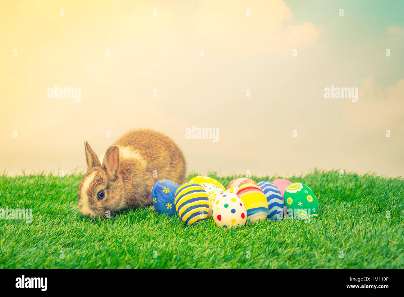 Rabbit and easter eggs in green grass Stock Photo - Alamy