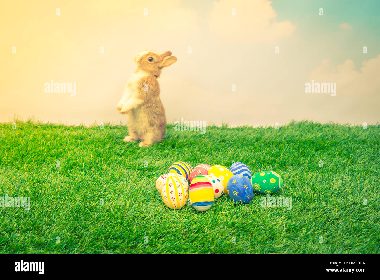 Rabbit and easter eggs in green grass Stock Photo - Alamy