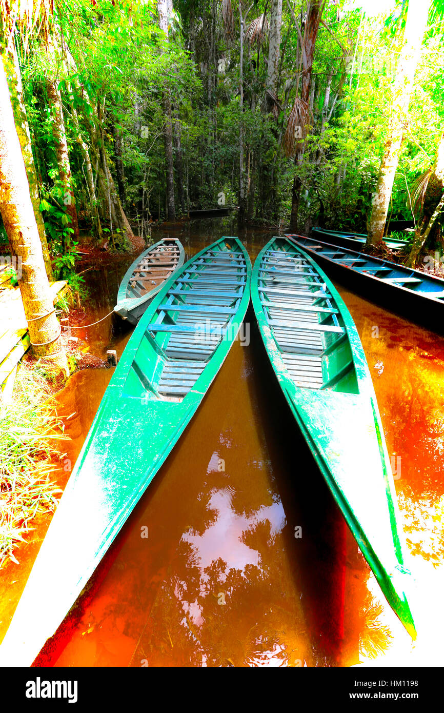 Amazon Jungle in Peru. Photos captured while on a jungle trip to the