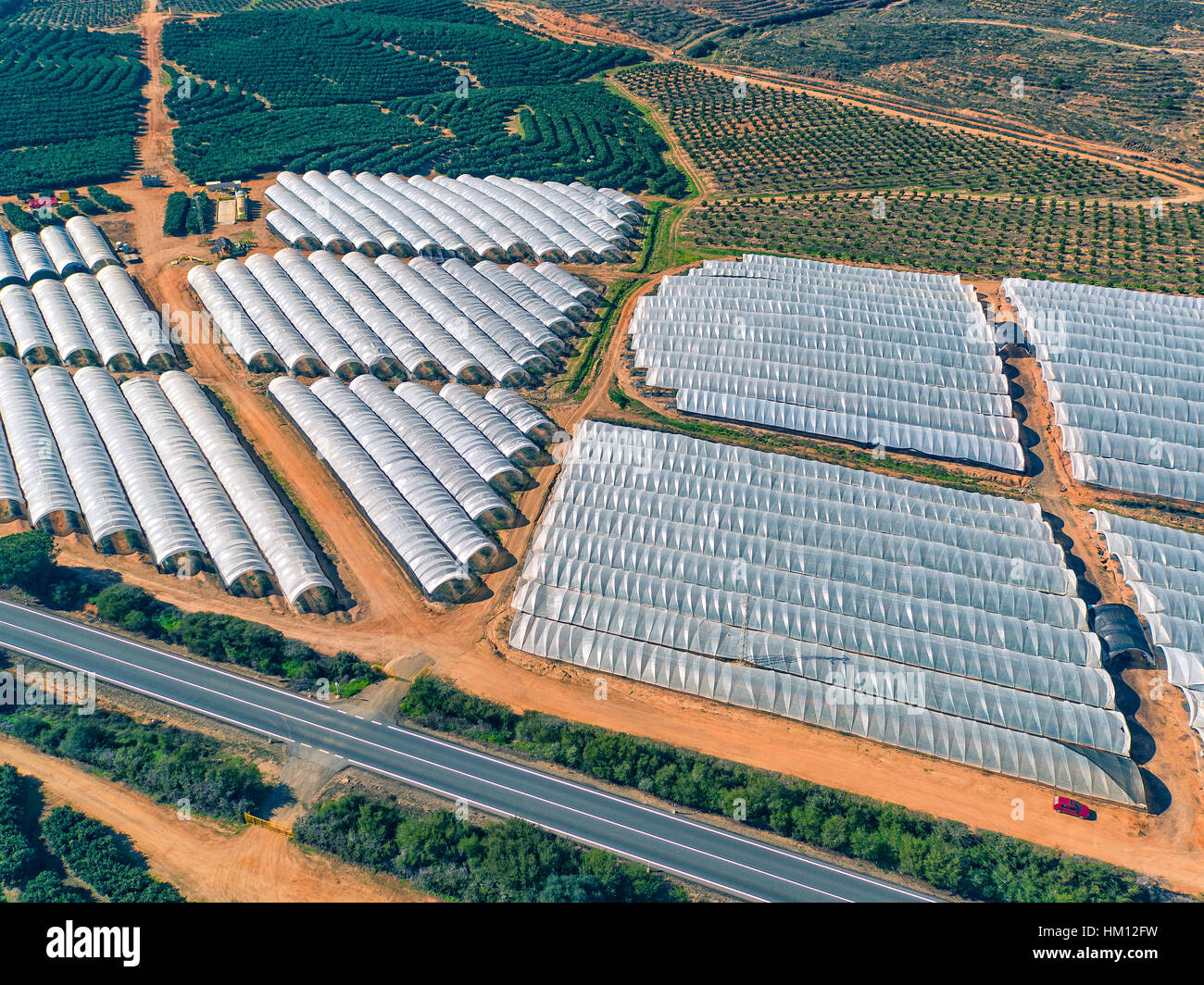 Aerial View Fruit and Orange Trees Plantation, Spain Stock Photo Alamy