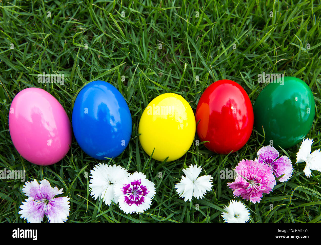 Easter eggs on green grass with flower Stock Photo - Alamy
