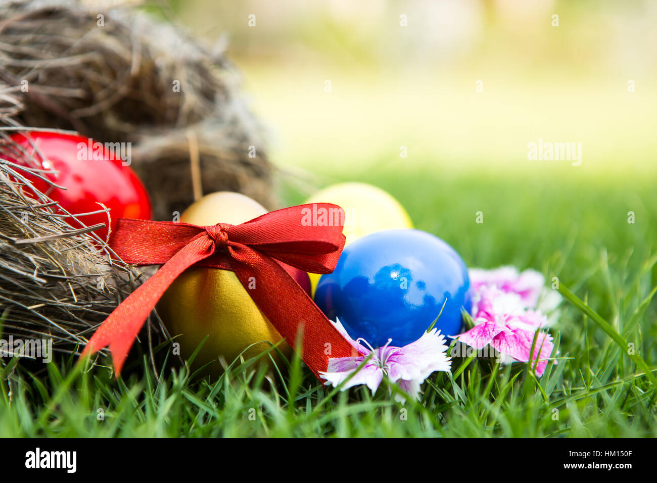Easter eggs in nest on green grass Stock Photo - Alamy