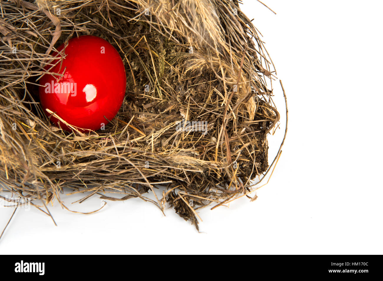 Colorful Easter eggs in a nest from branches on white background Stock ...